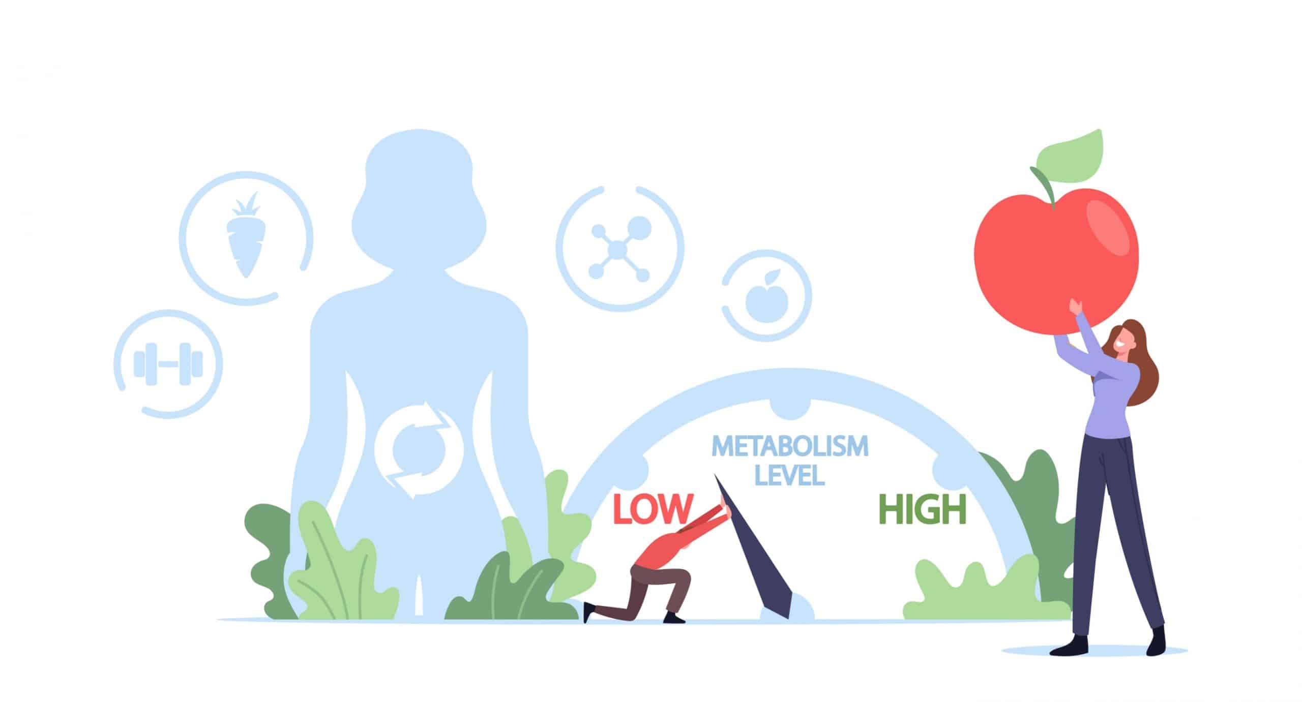 Kako ubrzati metabolizam