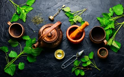 Zeleni čaj – kada ga i zašto pijemo