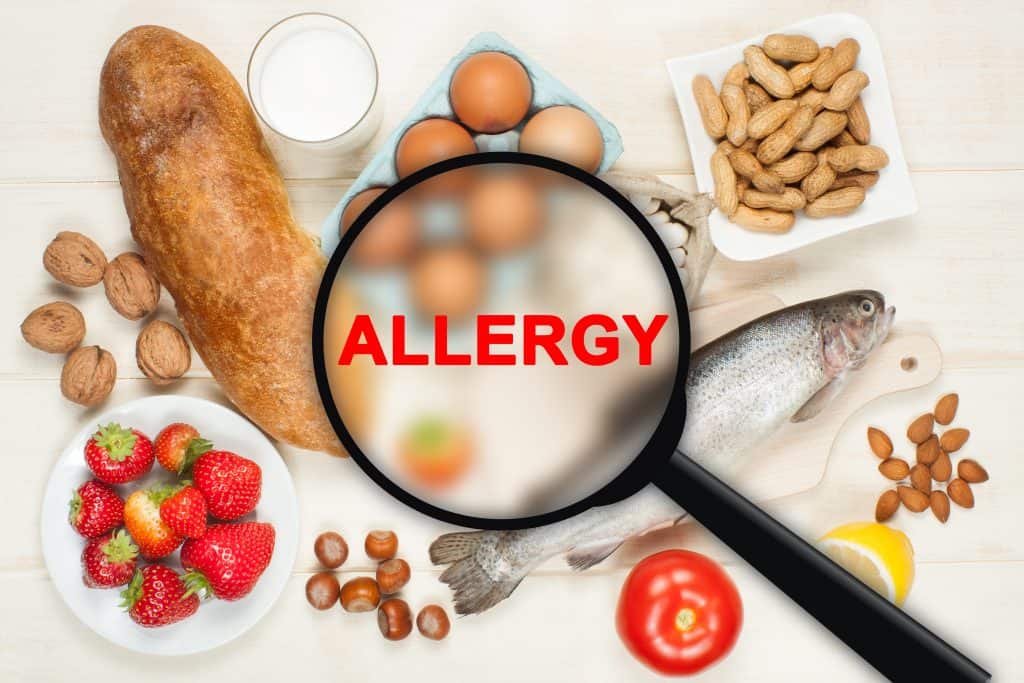 Alergija na hranu - simptomi i testiranje