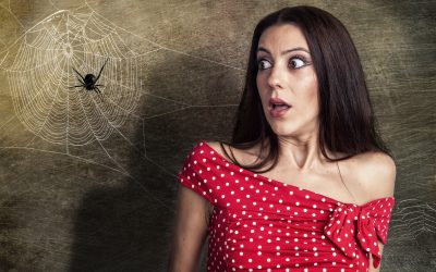 Kako prevladati strah od pauka