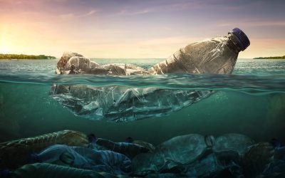 Plastika – negativni učinci na planet i prirodu