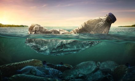 Plastika – negativni učinci na planet i prirodu