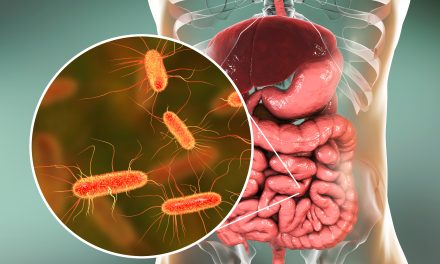 Escherichia coli – simptomi i liječenje