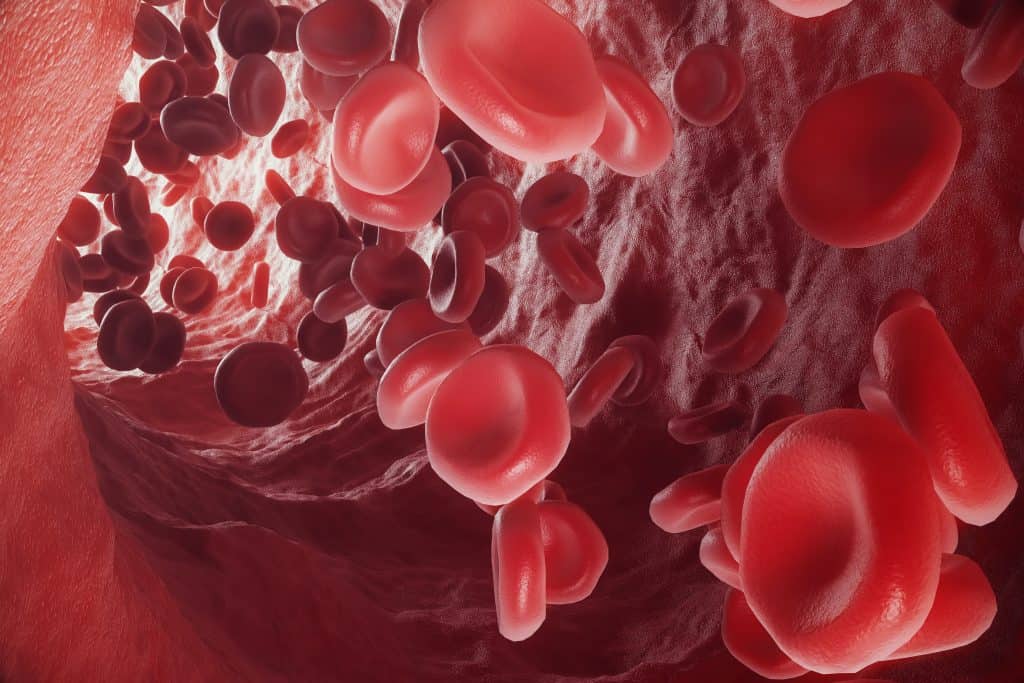 Visok i nizak hemoglobin u krvi - uzrok, simptomi, liječenje