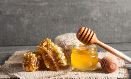 Vrste meda u Hrvatskoj i njihova ljekovitost