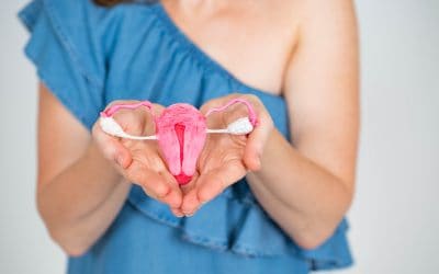 Rak ženskih genitalnih organa