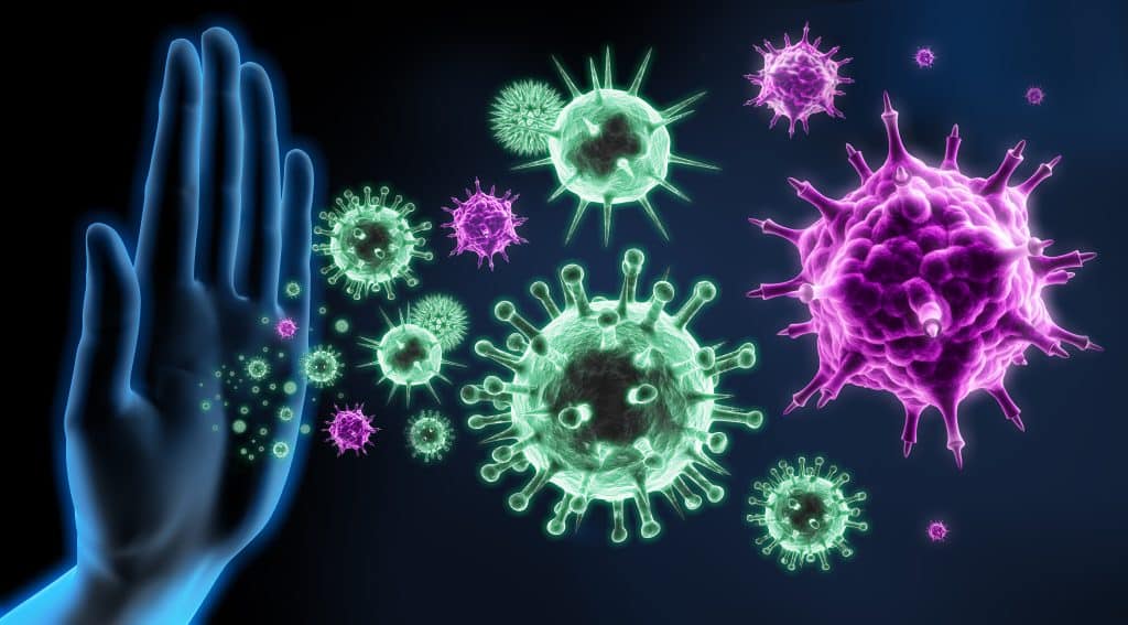 Imunološki sustav - što je i zašto je važan