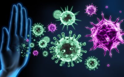 Imunološki sustav – što je i zašto je važan