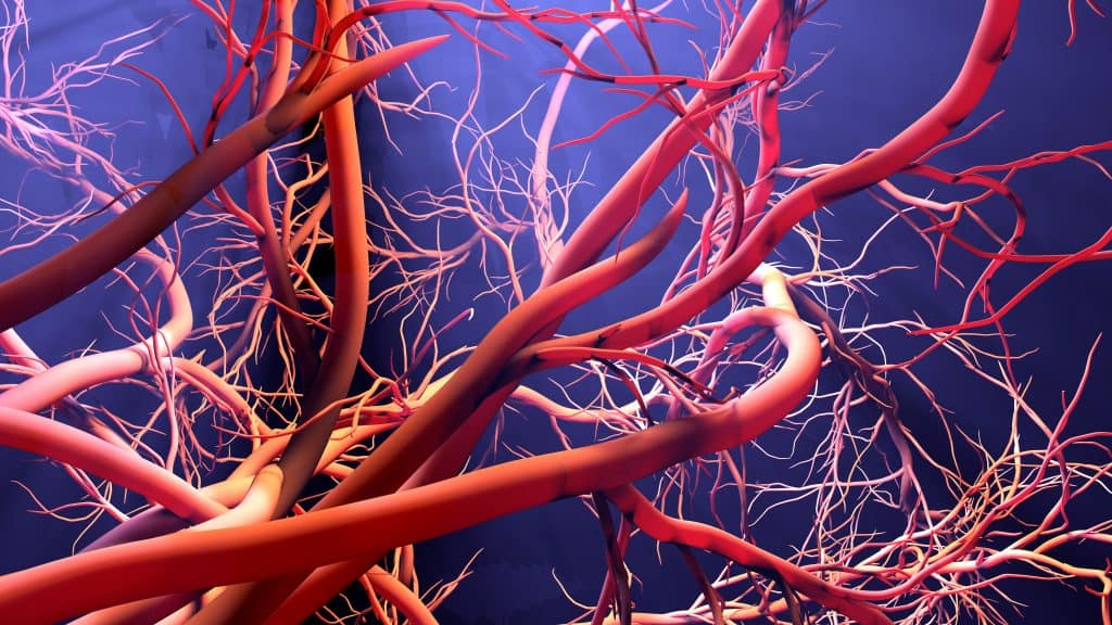 Kako očistiti krvne žile prirodnim putem