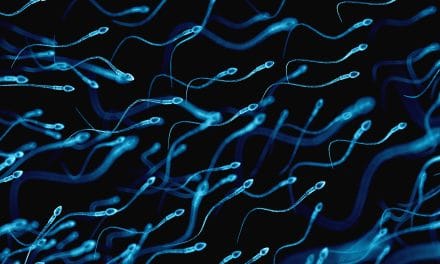 Kako nastaju spermiji