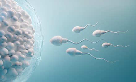 Sperma (spermij) – što je i koju ulogu ima