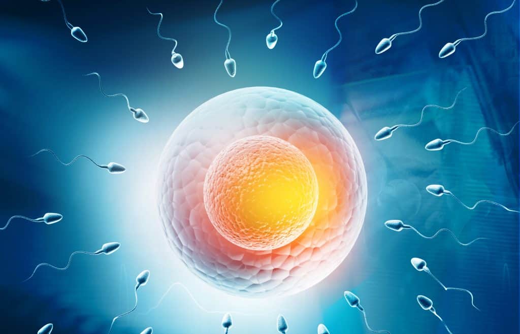 Testiranje spermija