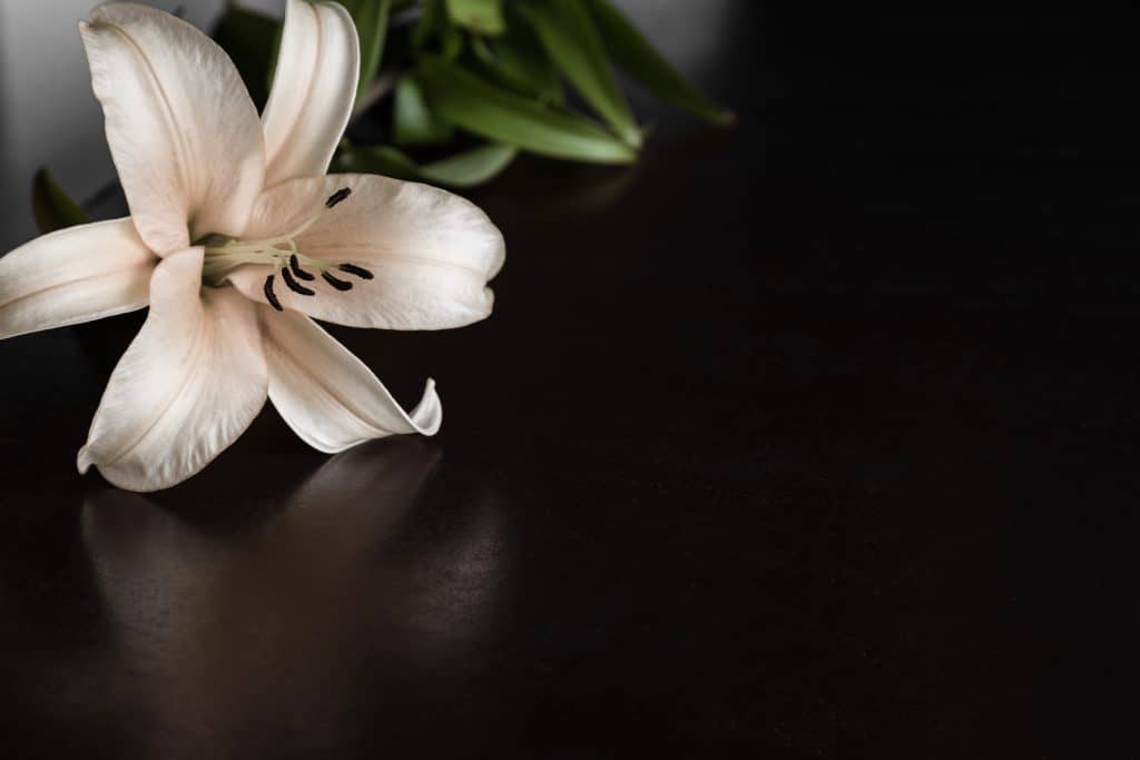 5 ključnih stvari koje treba uzeti u obzir pri odabiru pogrebnog cvijeća
