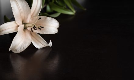 5 ključnih stvari koje treba uzeti u obzir pri odabiru pogrebnog cvijeća