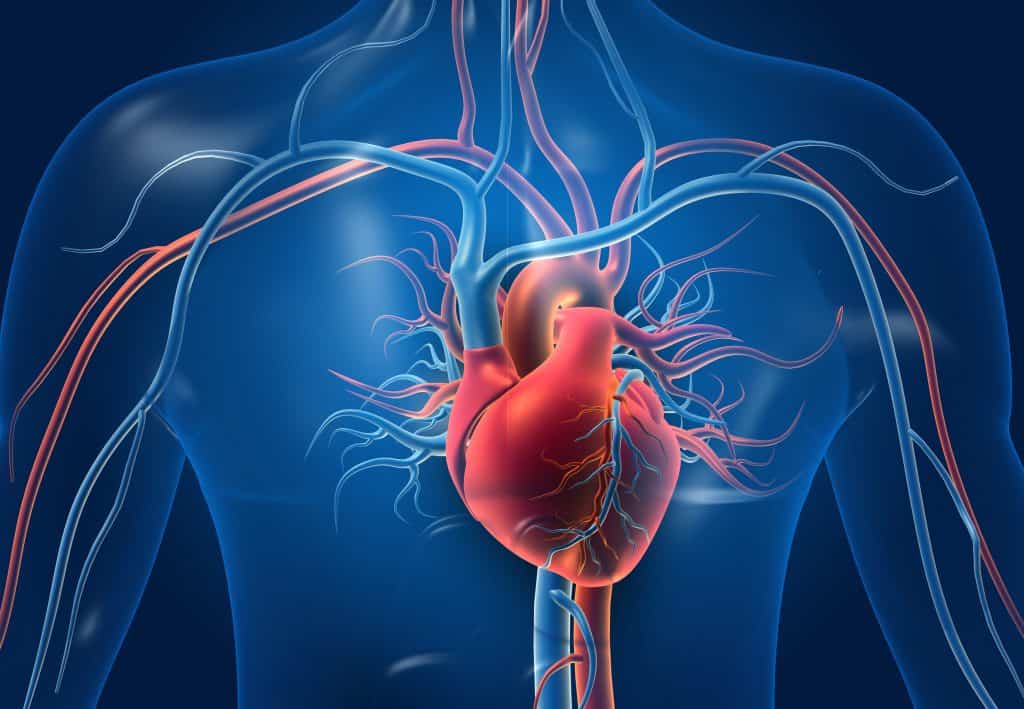 Cardio Life - što je i kako djeluje