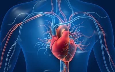 Cardio Life – što je i kako djeluje