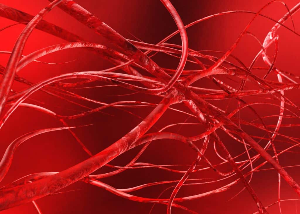 Elastičnost krvnih žila