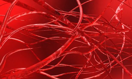 Elastičnost krvnih žila