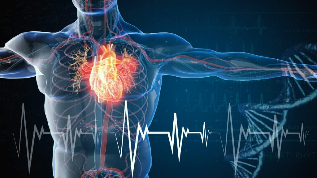 Kardiovaskularne bolesti - uzrok, simptomi, liječenje