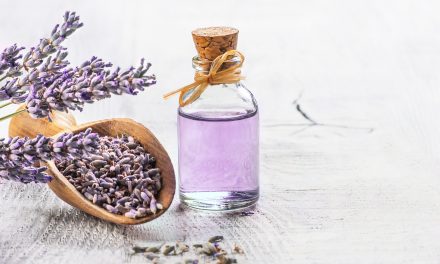 Lavanda – majka moderne aromaterapije