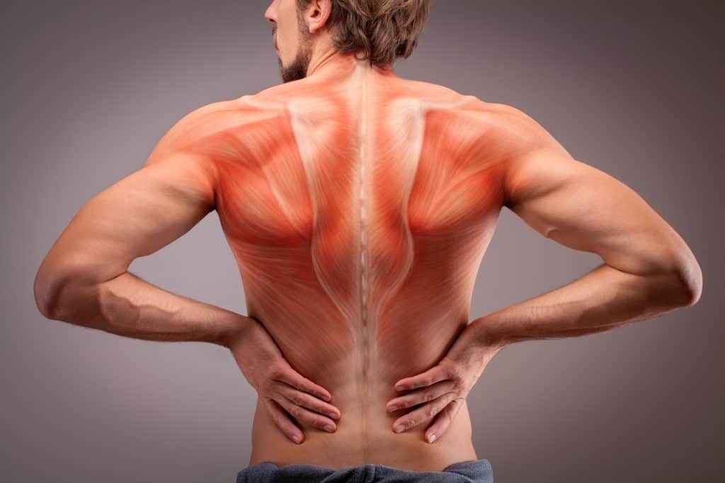Leđni mišić - vježbe za bolove