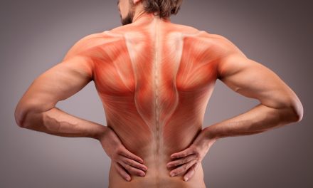 Leđni mišić – vježbe za bolove