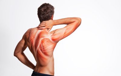 Mišići leđa – vježbe za bolove