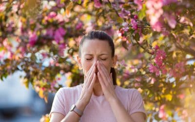 Što je alergija – uzrok, simptomi, liječenje