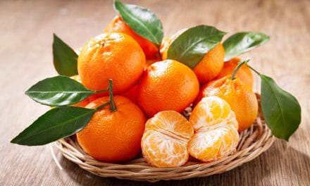 Sad je sezona mandarina, a evo što radite organizmu ako ih jedete svaki dan: Dobro obratite pažnju
