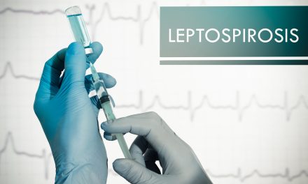 Leptospiroze – uzrok, simptomi, liječenje