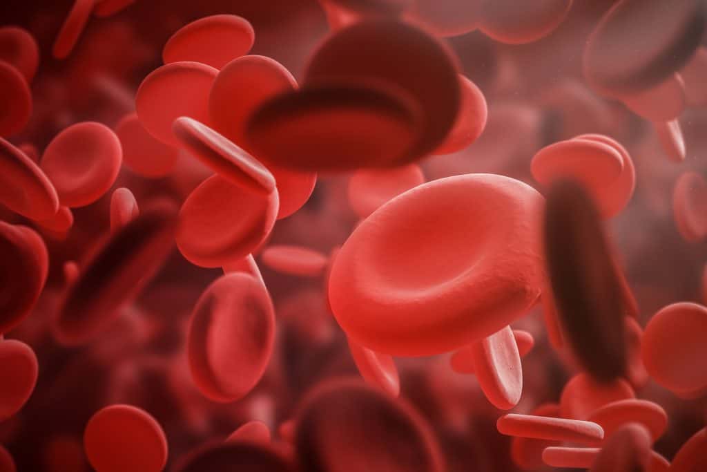 Što je hematopoeza
