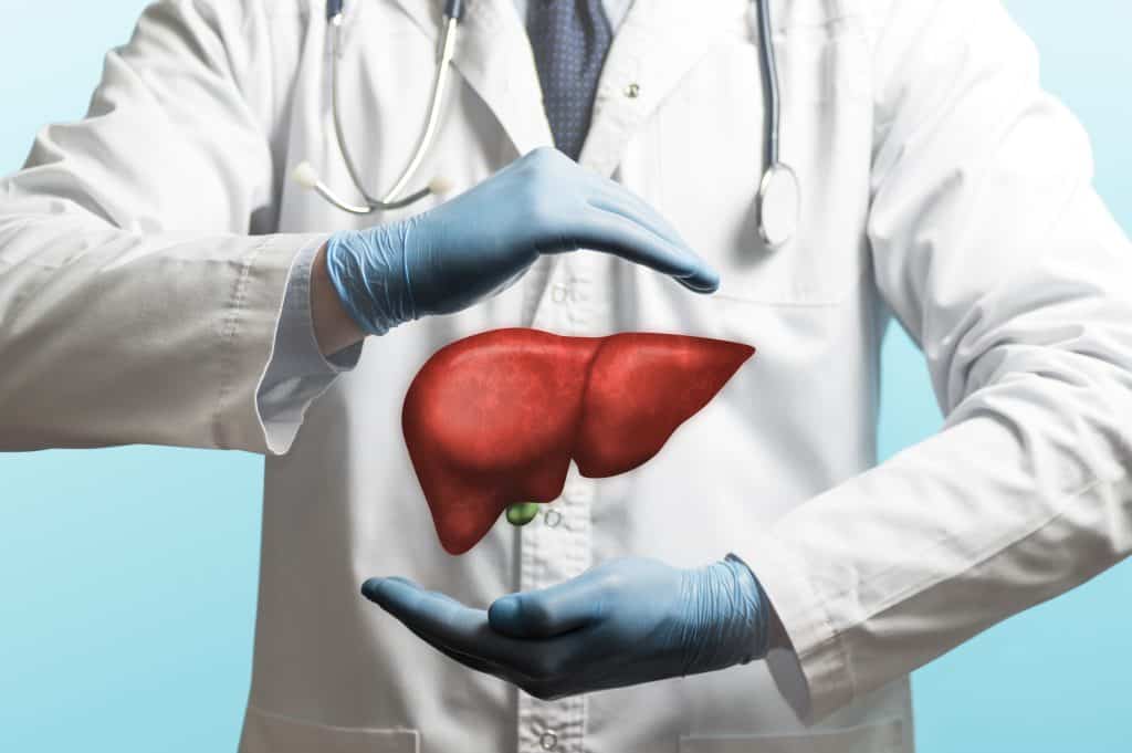 Što su jetra i koja je njihova uloga