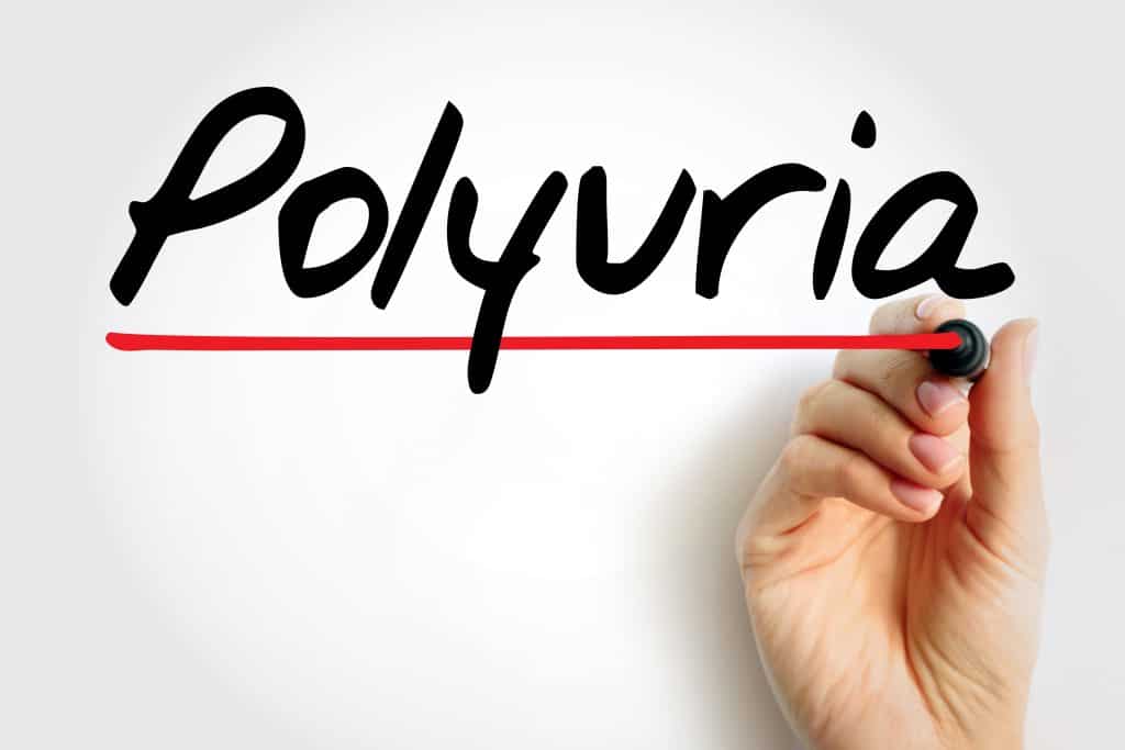 Što je poliurija
