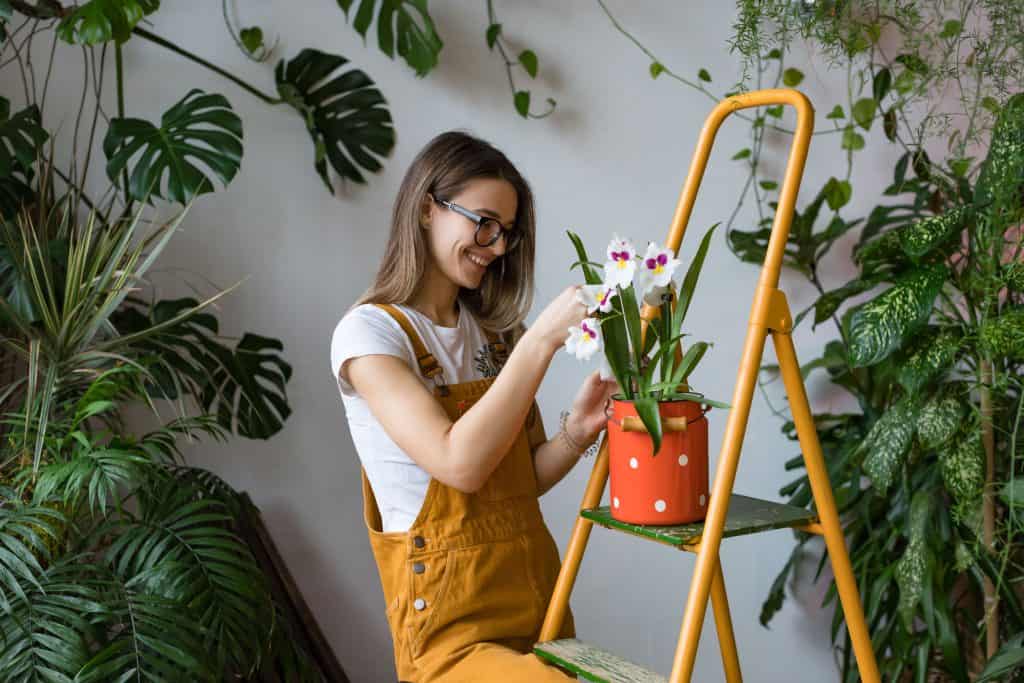 Kako održavati sobne biljke