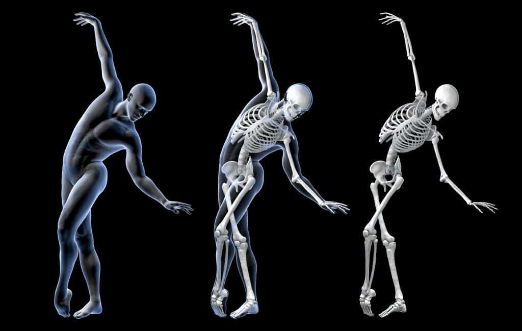 Kako izgleda ljudski kostur