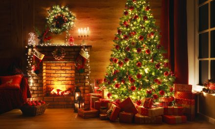 Kako se brinuti za božićno drvce