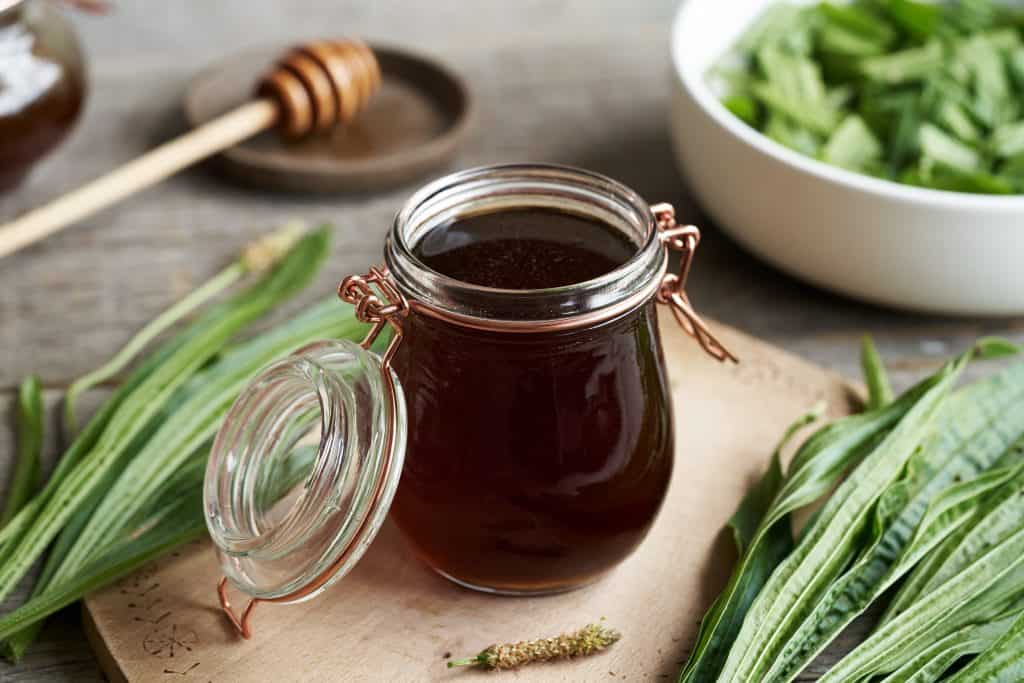 Kako napraviti sirup od trputca