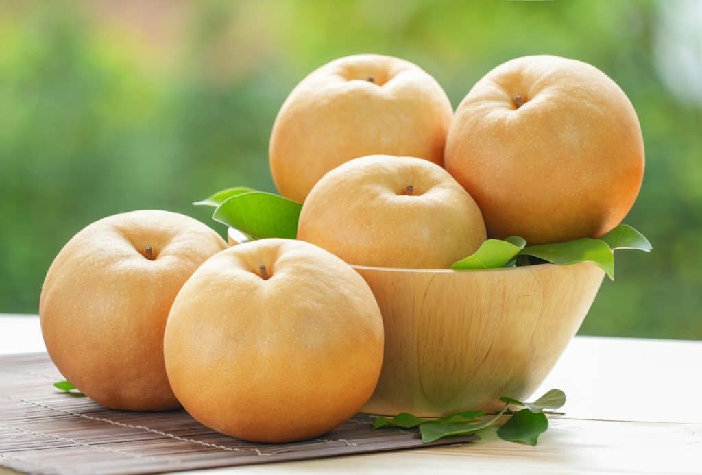 Nashi kruška gdje kupiti