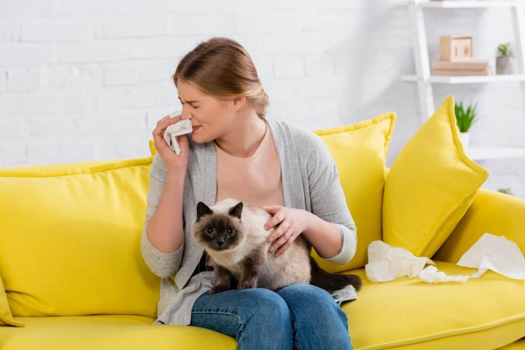 Alergija na mačke – kako ju prepoznati i liječiti?