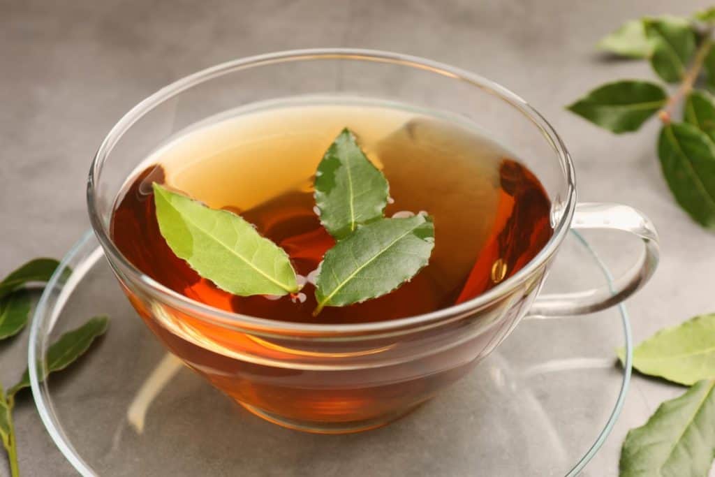 Čaj od lovora – ljekovita svojstva i nuspojave