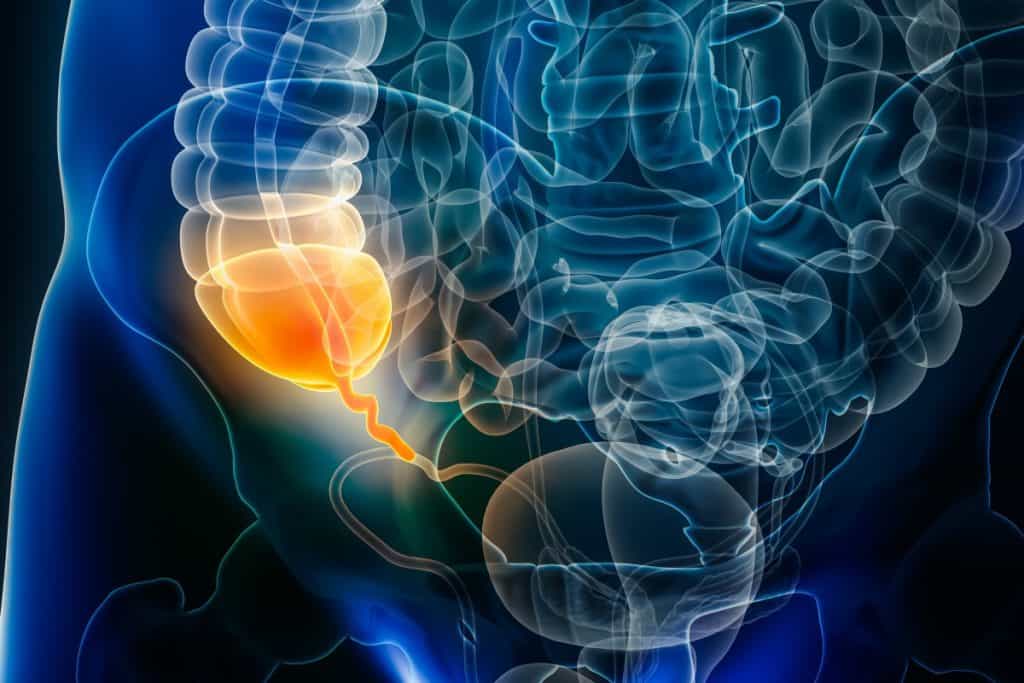 Slijepo crijevo gdje se nalazi